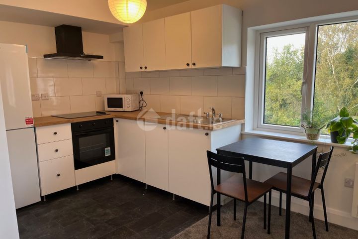 Dublin Road,Castletroy,Limerick, Singland, Co. Limerick