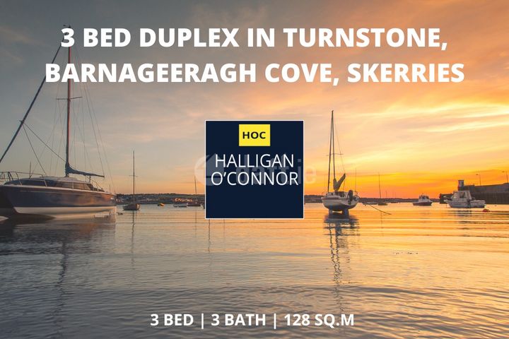 Turnstone, Barnageeragh Cove, Skerries, Co. Dublin