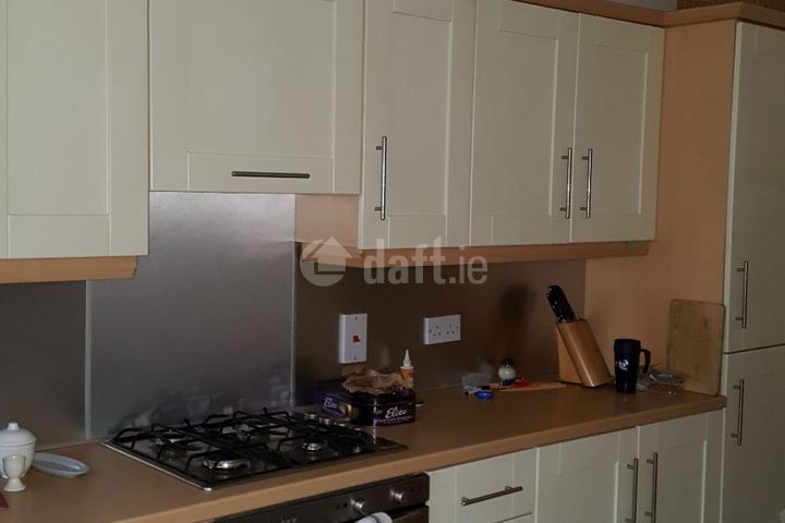 Boroimhe Blackthorn, Swords,Co. Dublin, Swords, Co. Dublin