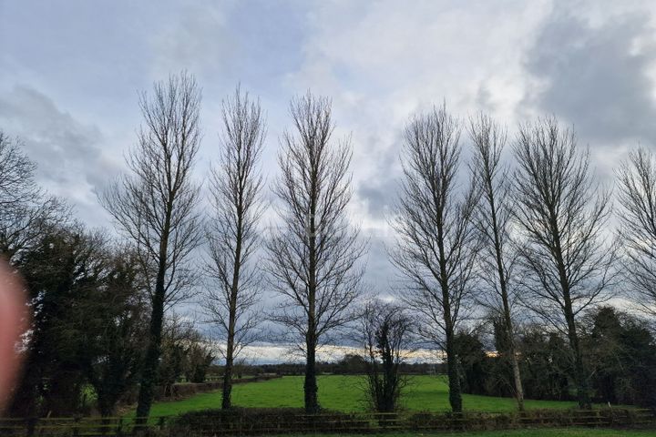 Westside Auto Care & Windscreen Centre, Unit 3/4, Laragh, Co. Kildare