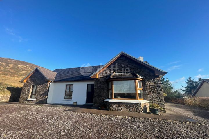Foxgloves, Aughills, Castlemaine, Aughils, Co. Kerry