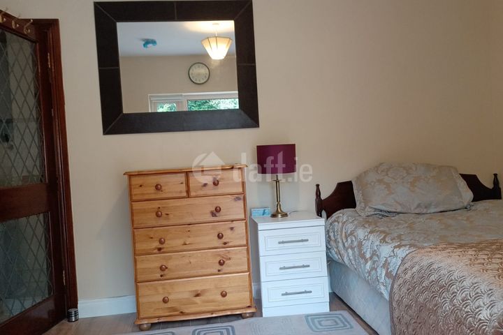 countryside, Shannon, Co. Clare