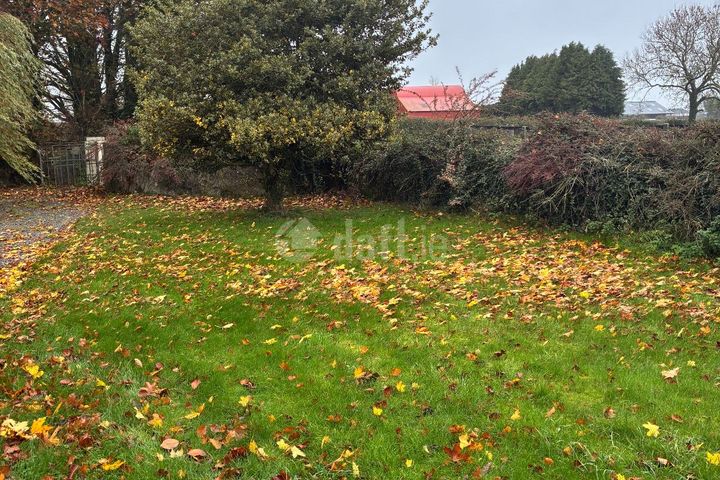 Knockroe, Thurles, Horse and Jockey, Co. Tipperary