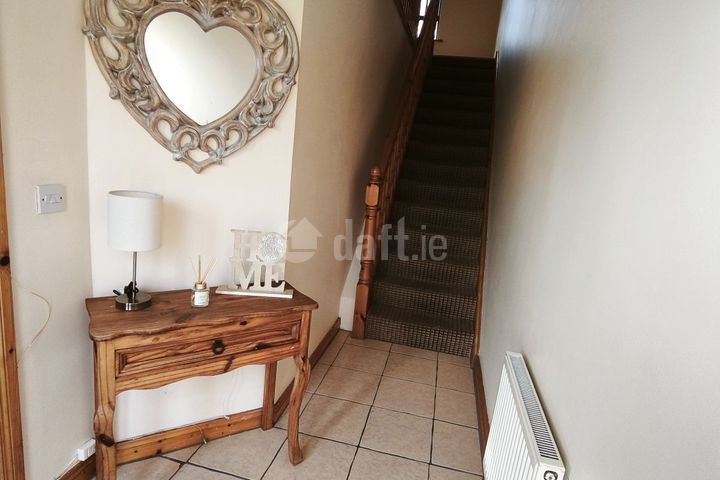 Lus Mór,Whiterock Hill,Wexford, Whiterock, Co. Wexford