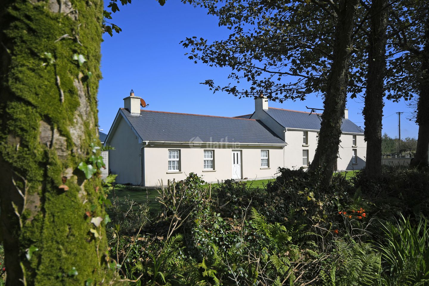 Derryclogh Upper, Drinagh, Skibbereen, Co. Cork is for rent on Daft.ie