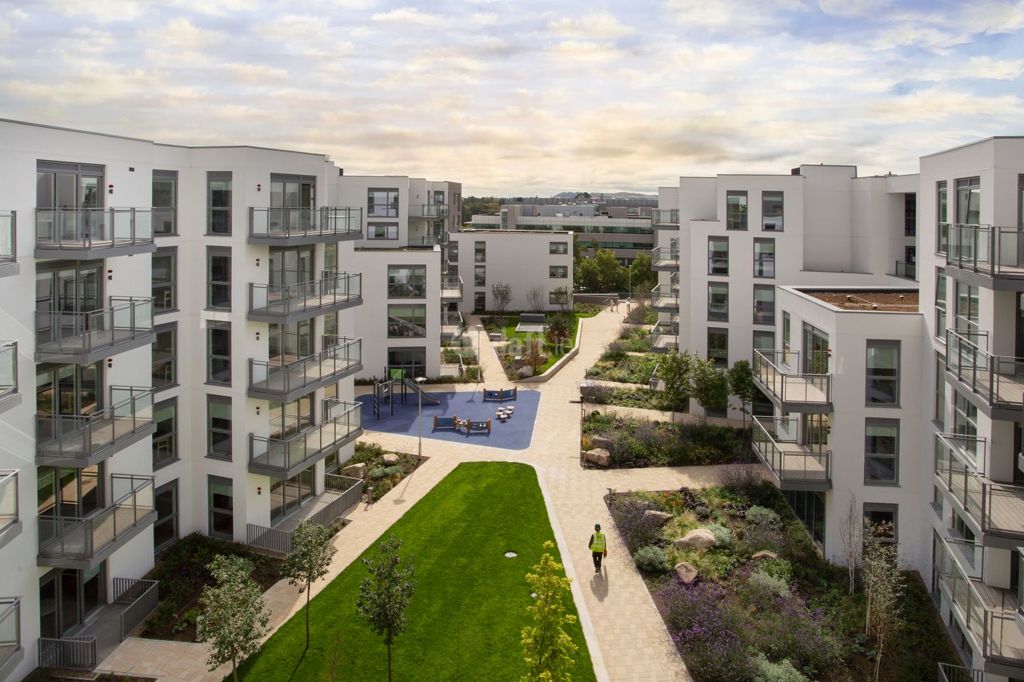 Hali, The Barrington Building, Cherrywood, Dublin , Cherrywood, Dublin