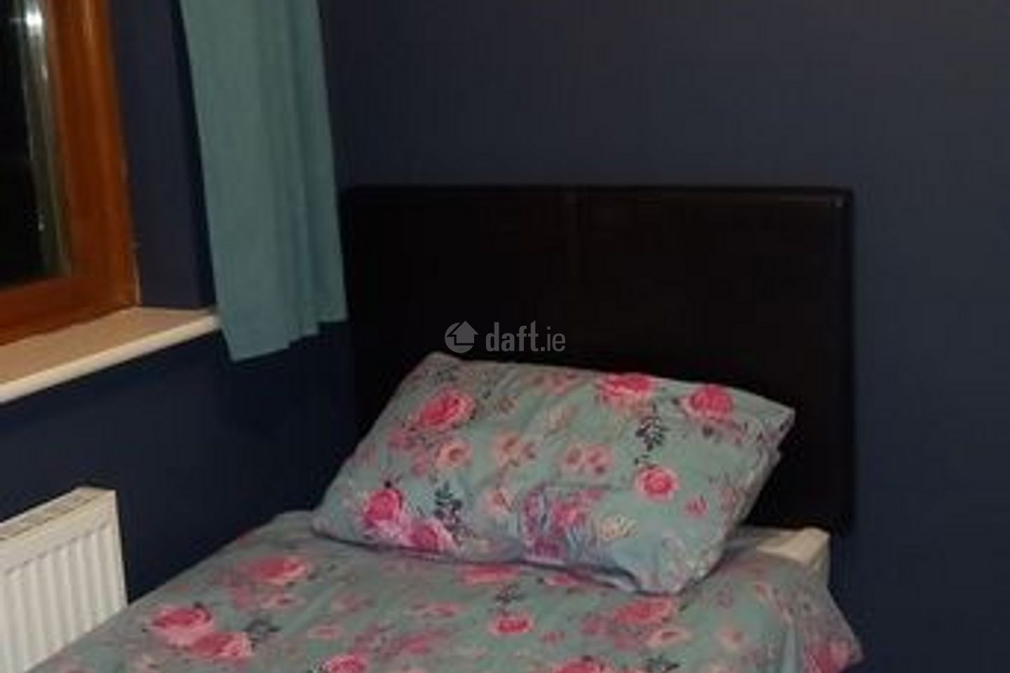 Single room, Ashbourne, Co. Meath to share on Daft.ie