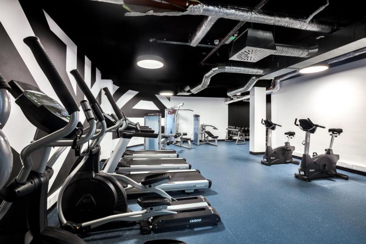 SW 7 Bedroom Apartment, Copley Street (Student Copley