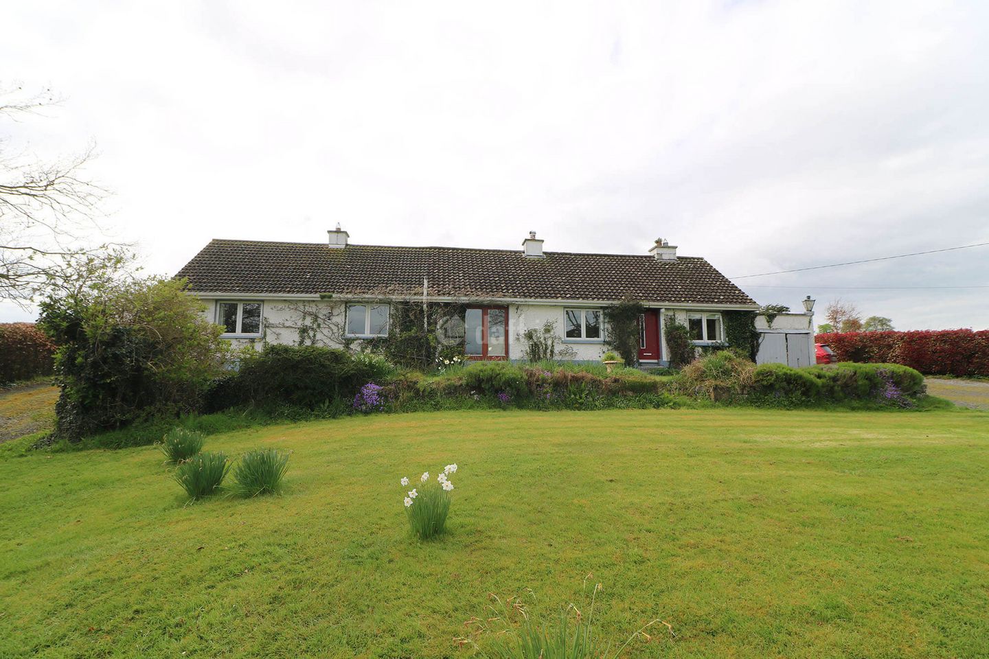 Carbury, Co. Kildare is for rent on Daft.ie