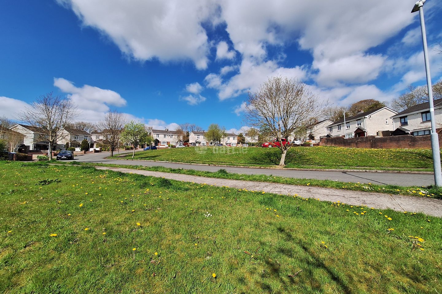 Ardee Street, Collon, Co. Louth is for rent on Daft.ie