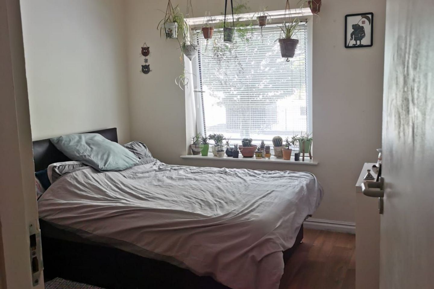 South Terrace, Cork, Cork City Centre to share on Daft.ie