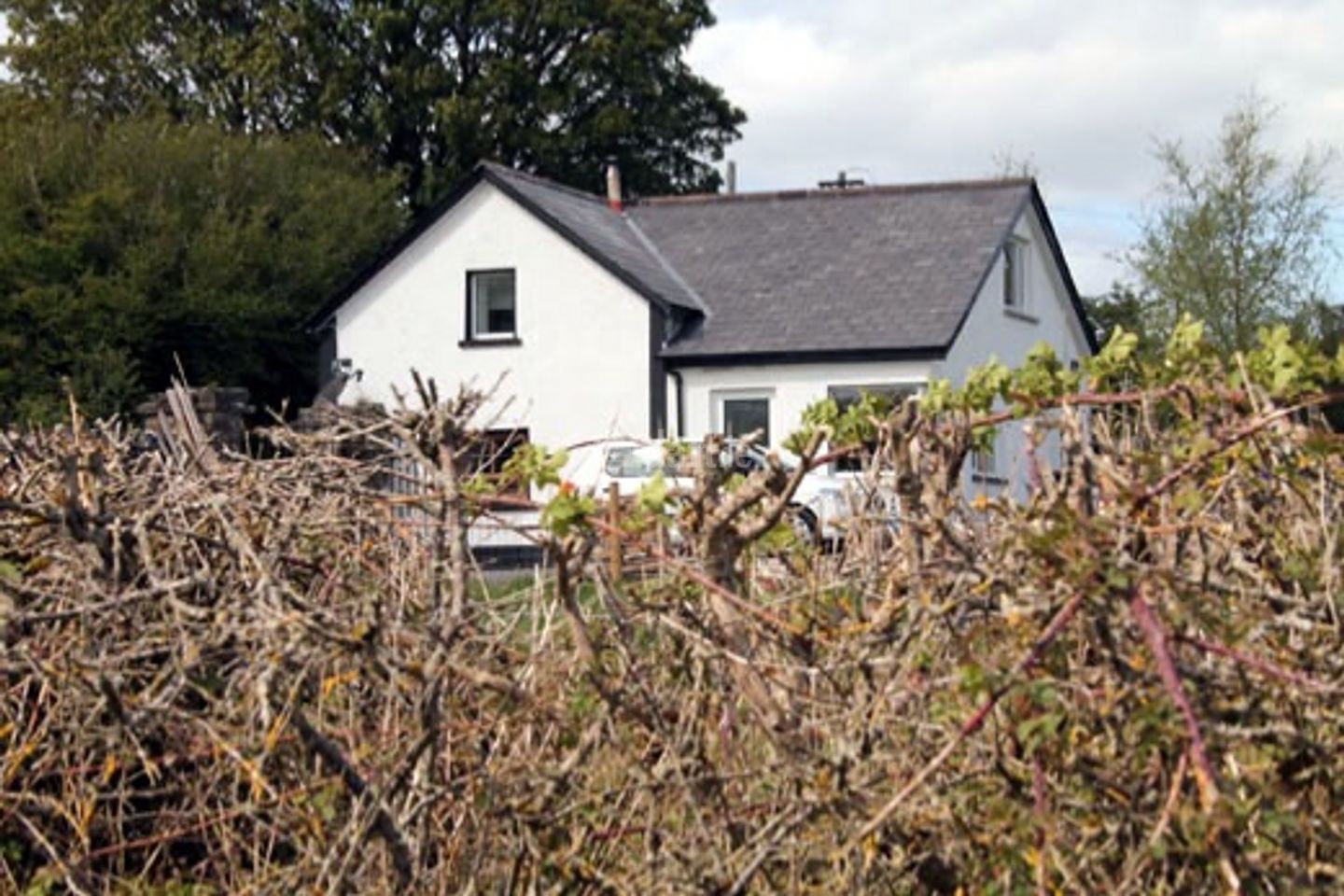 Lake View, Coolure, Coole, Mullingar, Coole, Co. Westmeath is for rent on Daft.ie