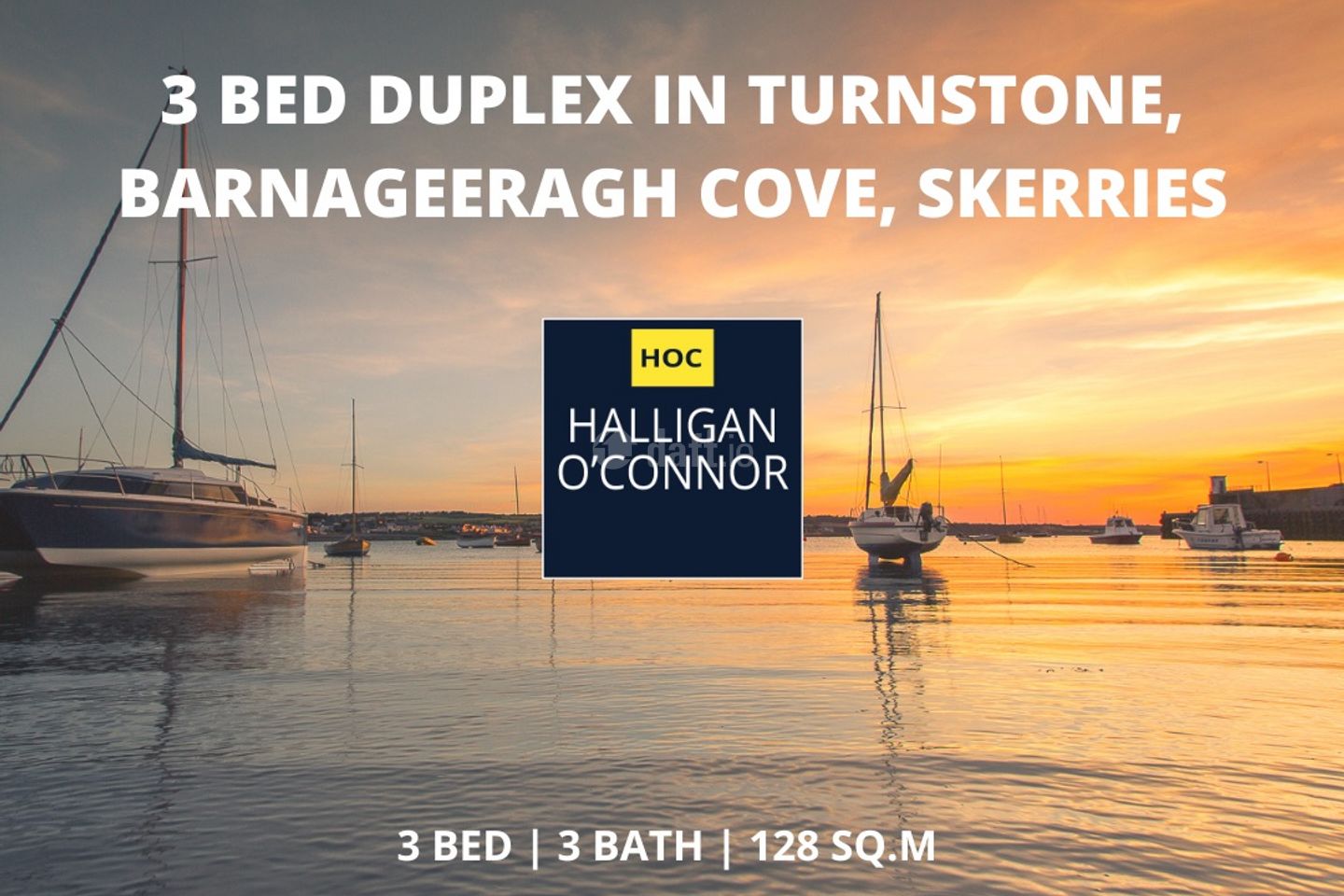 Turnstone, Barnageeragh Cove, Skerries, Co. Dublin