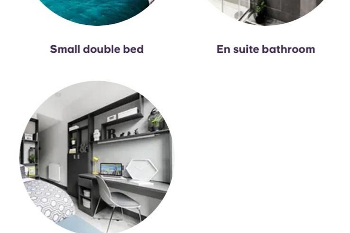 New Mill Student Accommodation , Mill Street, Du, South Circular Road, Dublin 8