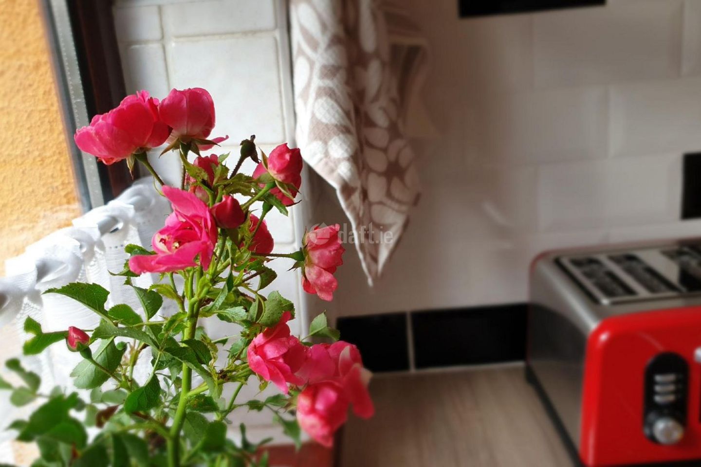 Renmore, Galway, Renmore, Co. Galway