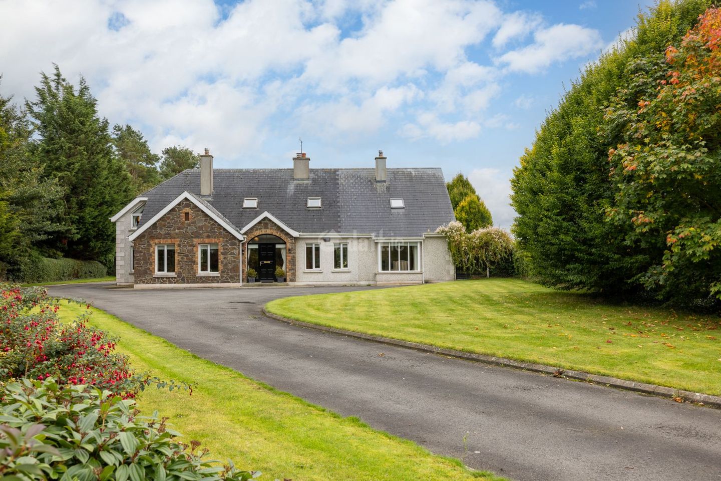 Heath, Grangemellon, Ballyroe, Co. Kildare