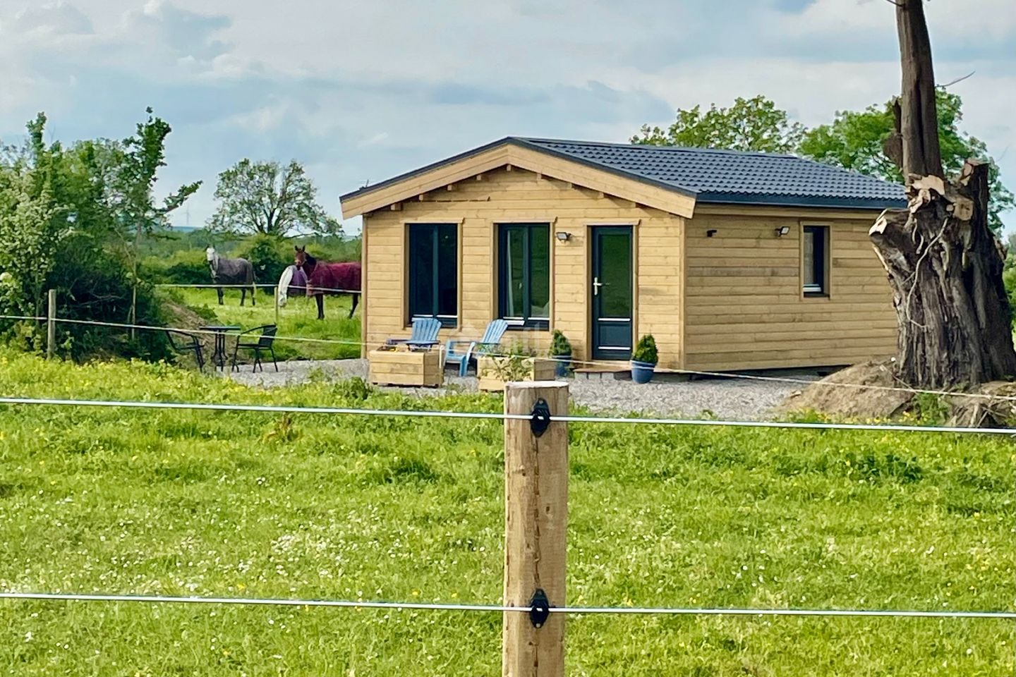 Newcastle West Riding Centre,  Newcastle West , Mahoonagh, Co. Limerick