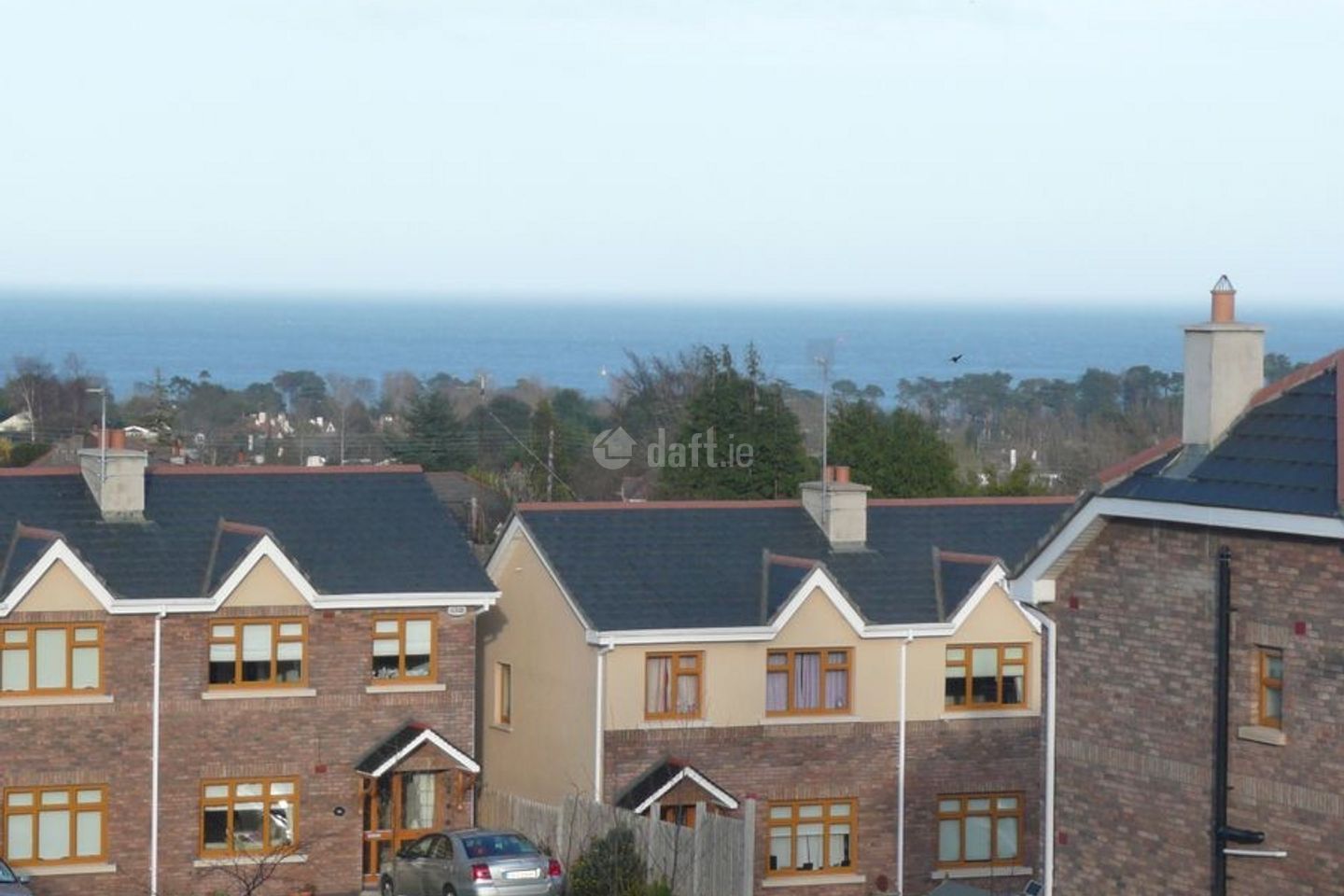 Delgany Wood, Delgany, Greystones, Co. Wicklow