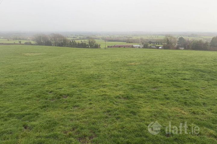 C. 9 Acres At Boulerea, Knock, Roscrea, Co. Tipperary
