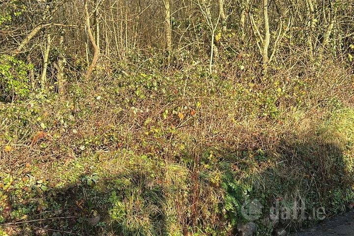 Ballynaboley, Kilmacow, Co. Kilkenny