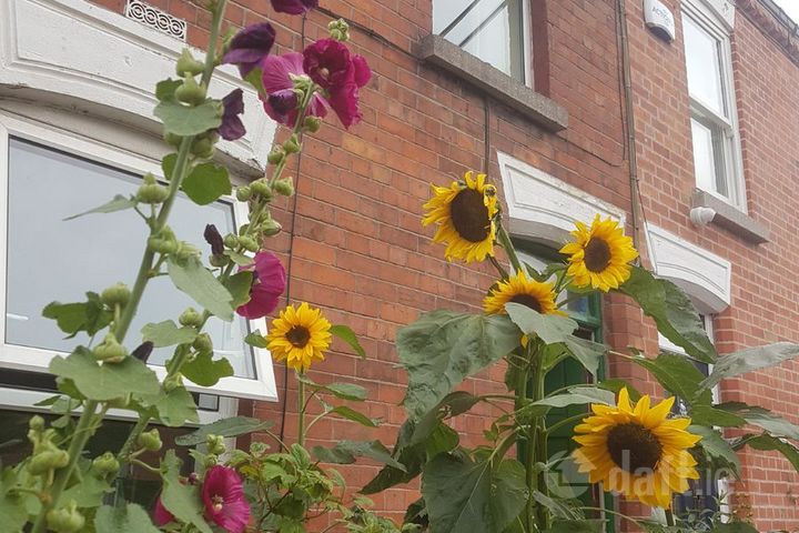 Reuben Avenue, Dublin 8