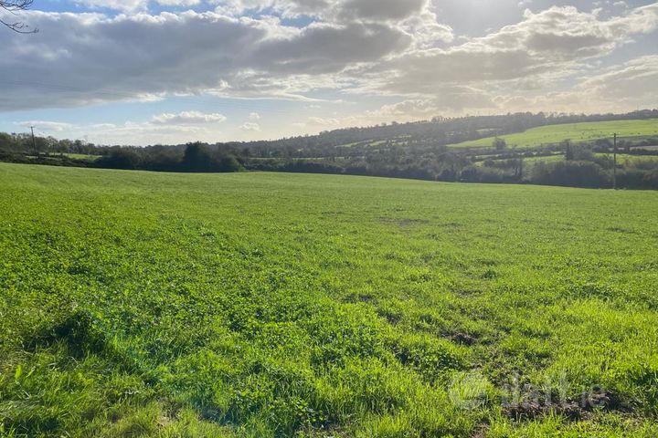 Ballinlaw, Slieverue, Co. Kilkenny