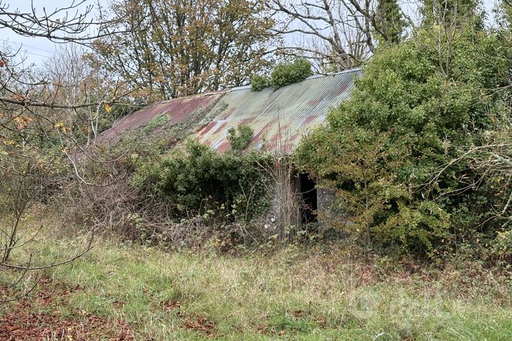 Derynagalliagh, Ballymahon, Co. Longford