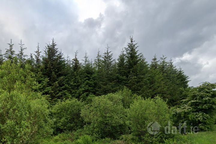 Glann East, Charlestown, Co. Mayo