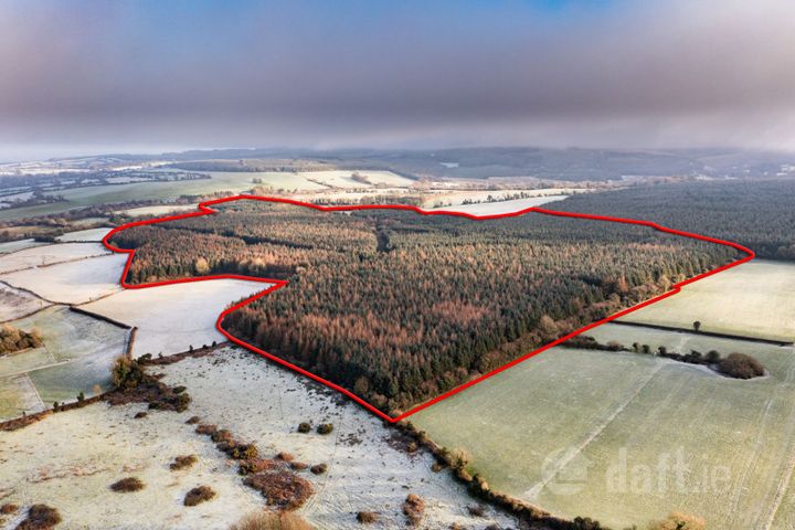 Letter, Cadamstown, Co. Offaly