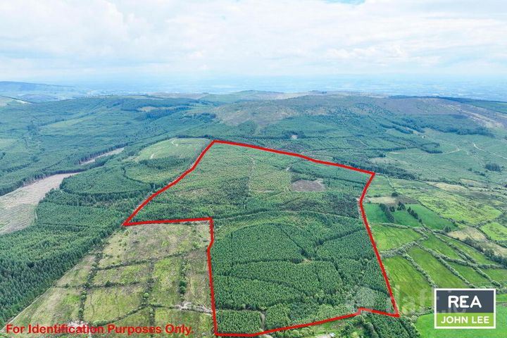 Glenoe, Newport, Co. Tipperary