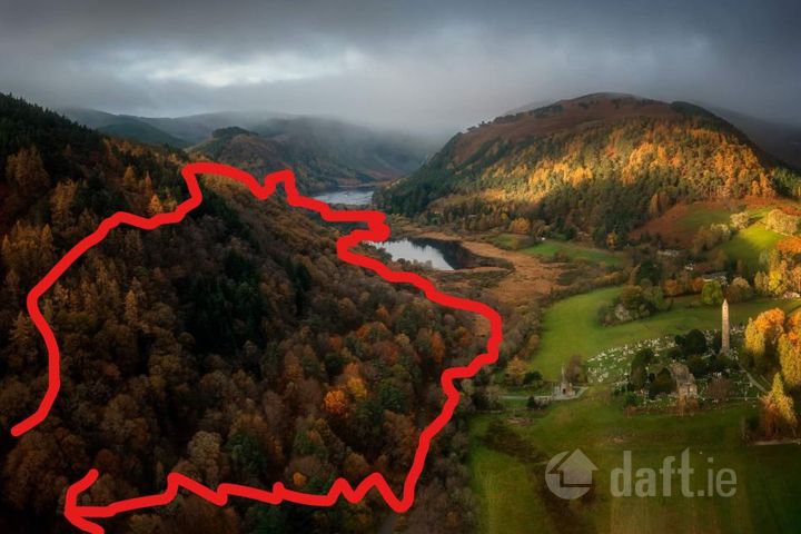 Derrybawn Mountain, Laragh, Co. Wicklow