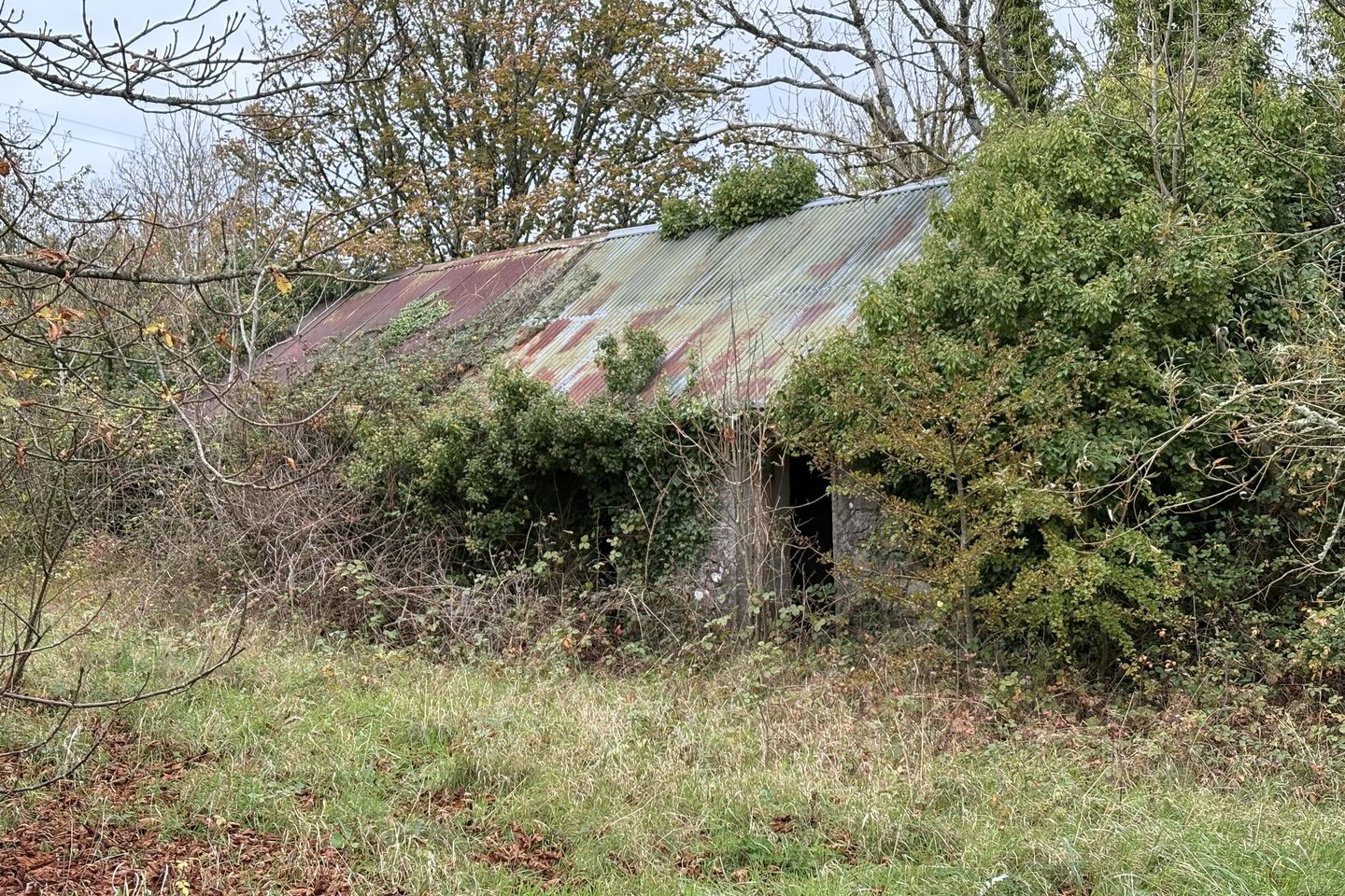 Derynagalliagh, Ballymahon, Co. Longford