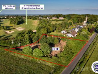 Rathmiles, Killenard, Co. Laois - Site For Sale