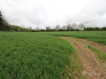 Rochestown, Slane, Co. Meath