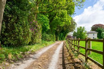 Property header