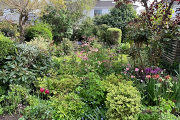 Property header