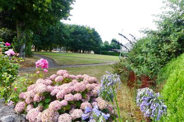 Property header