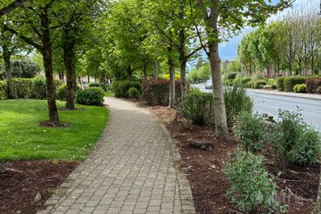 Property Header