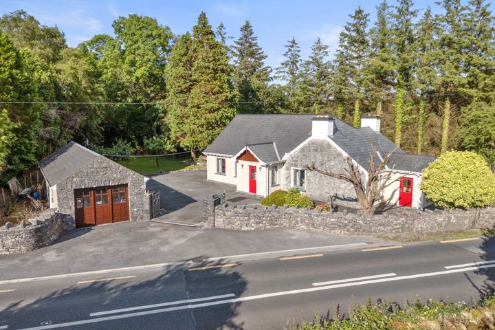 Gortrevagh, Oughterard, Galway, Co. Galway, H91RFY9