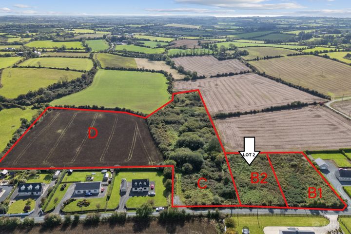 Lot 2, Killesk, Campile, New Ross, Co Wexford