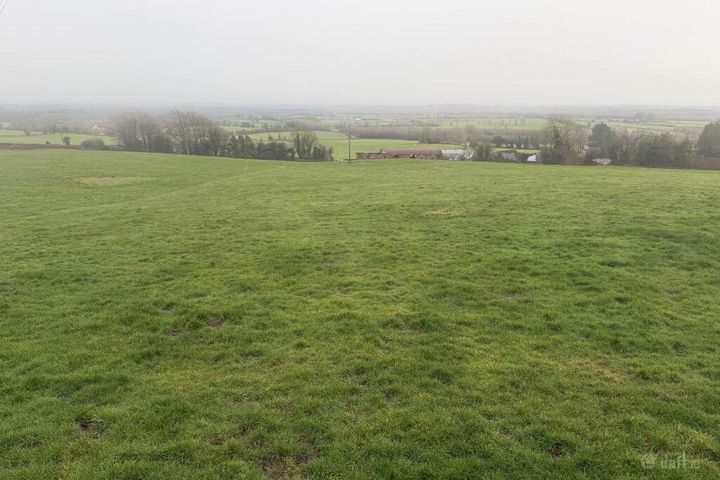 C. 9 Acres At Boulerea, Knock, Roscrea, Co. Tipperary