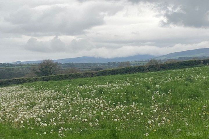 Site B At Ballyminane Mills, Enniscorthy, Co. Wexford