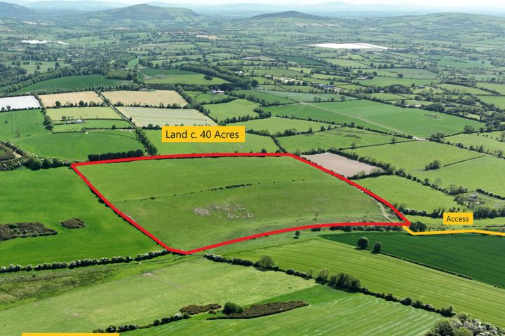 Land C. 40 Acres, Crookstown East, Ballitore, Co. Kildare