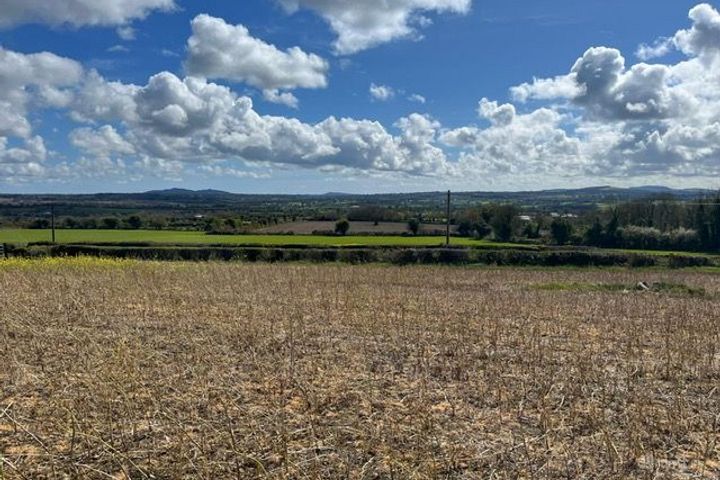 Templeludigan , Ballywilliam, Co. Wexford