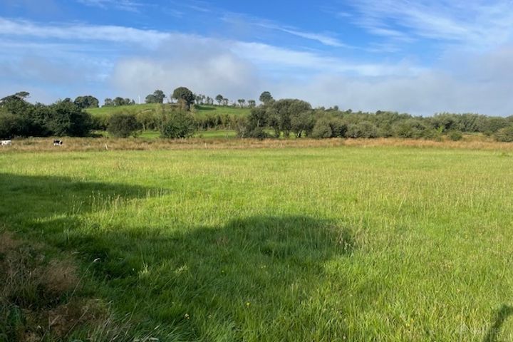 Lissarourke, Enniskeane, Co. Cork