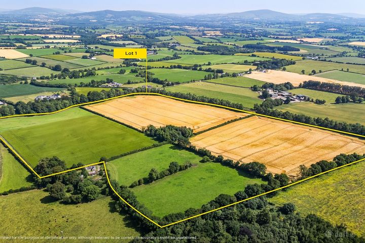 Lot 1 - South Land At Lisnavagh, Lisnavagh, Co Carlow, R93 K162, Rathvilly, Co. Carlow