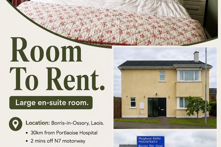 Borris-In-Ossory, Borris-in-Ossory, Co. Laois