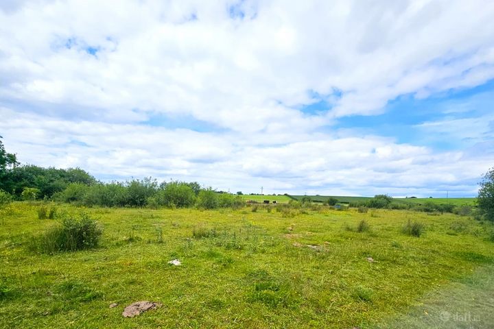 Townparks, Ardee, Ardee, Co. Louth