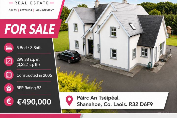 Páirc An Tséipéal, Shanahoe, Shanahoe, Co. Laois, R32D6F9