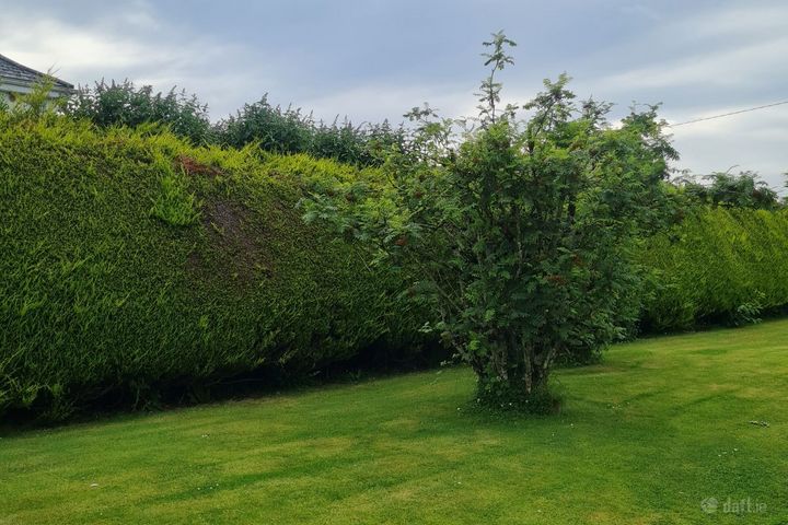 Tirellan heights , Tirellan, Co. Galway
